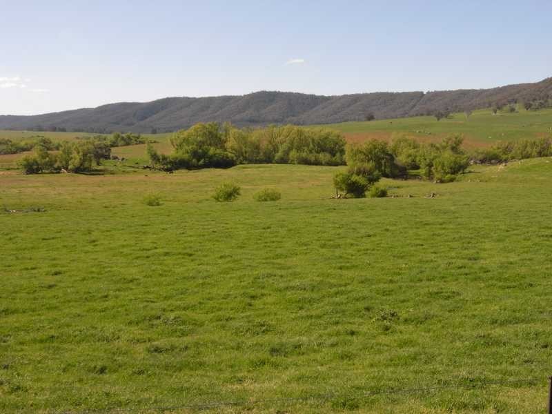 Lot 19 Mannus Creek Road, Tumbarumba NSW 2653