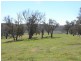 Lot 2 Walteela Road, Tumbarumba NSW 2653
