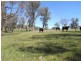 Lot 2 Walteela Road, Tumbarumba NSW 2653