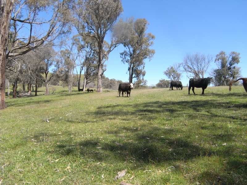 Lot 2 Walteela Road, Tumbarumba NSW 2653