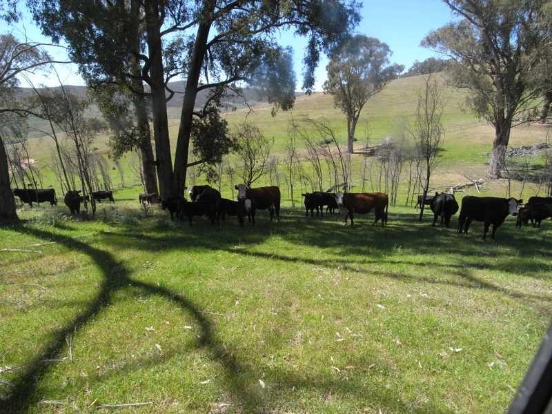 Lot 2 Walteela Road, Tumbarumba NSW 2653