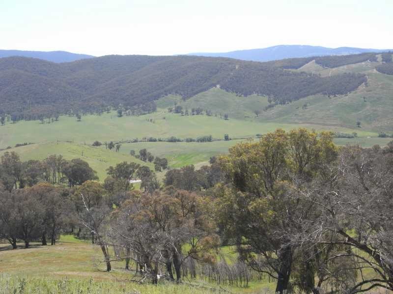 Lot 2 Walteela Road, Tumbarumba NSW 2653