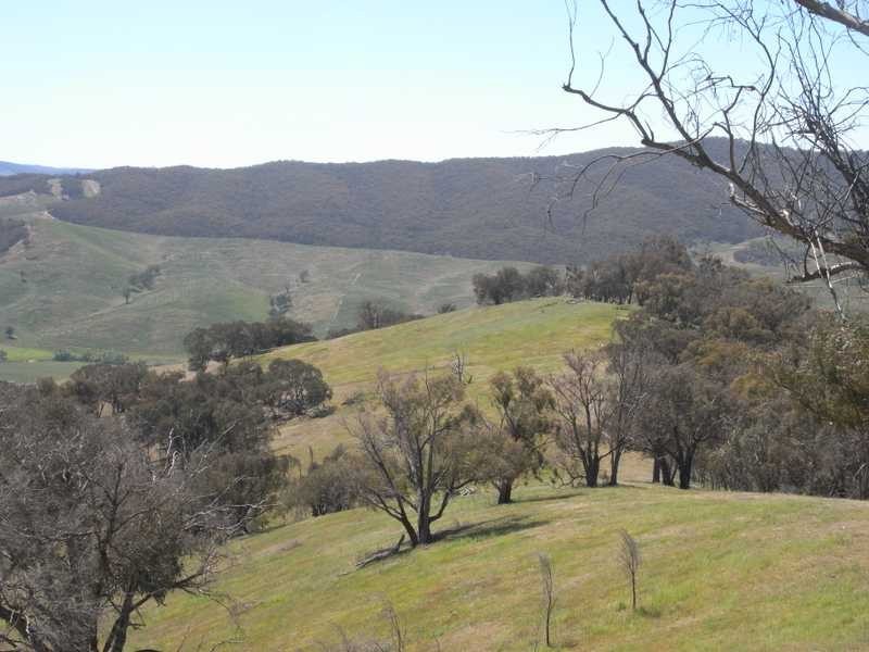 Lot 2 Walteela Road, Tumbarumba NSW 2653