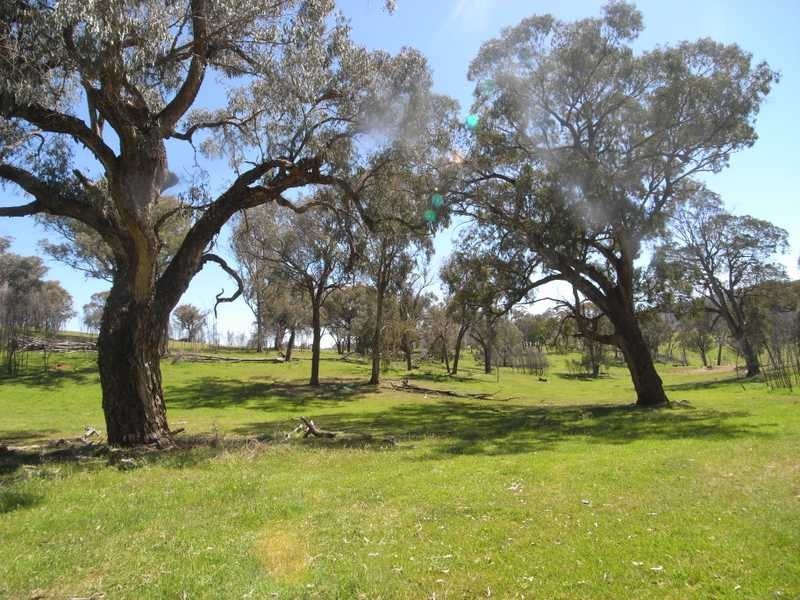 Lot 2 Walteela Road, Tumbarumba NSW 2653