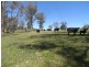 Lot 2 Walteela Road, Tumbarumba NSW 2653