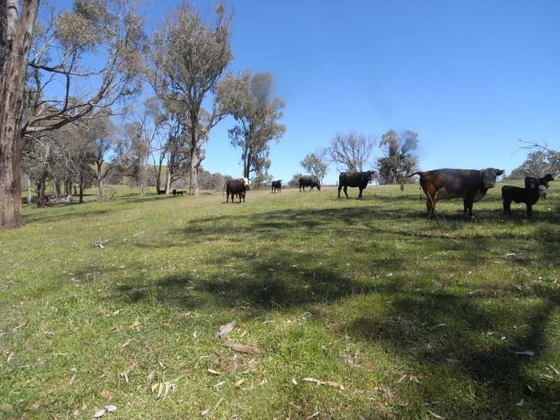 Lot 2 Walteela Road, Tumbarumba NSW 2653