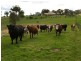 120 Allawah Road, Tumbarumba NSW 2653