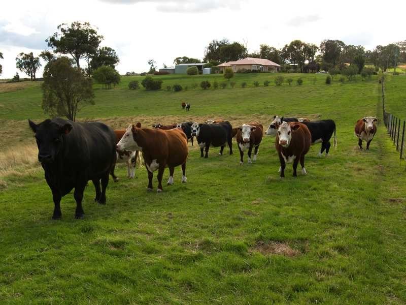 120 Allawah Road, Tumbarumba NSW 2653