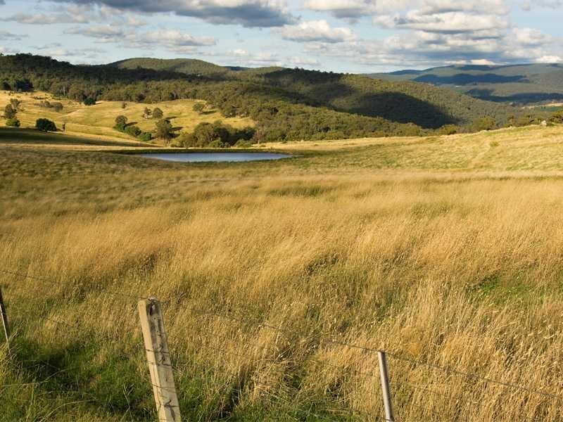 120 Allawah Road, Tumbarumba NSW 2653