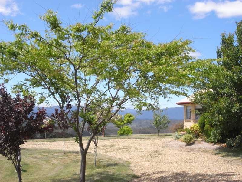 120 Allawah Road, Tumbarumba NSW 2653