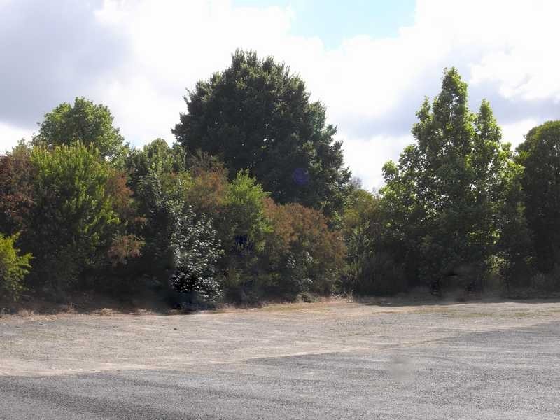 Lot 20 Winton Street, Tumbarumba NSW 2653