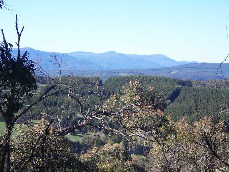 Lot 11 Moody’s Hill Road, Tumbarumba NSW 2653