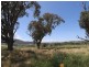 Lot 8 Chaffey Close, Tumbarumba NSW 2653