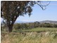 Lot 8 Chaffey Close, Tumbarumba NSW 2653