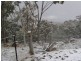 1610 Tooma Road, Tumbarumba NSW 2653