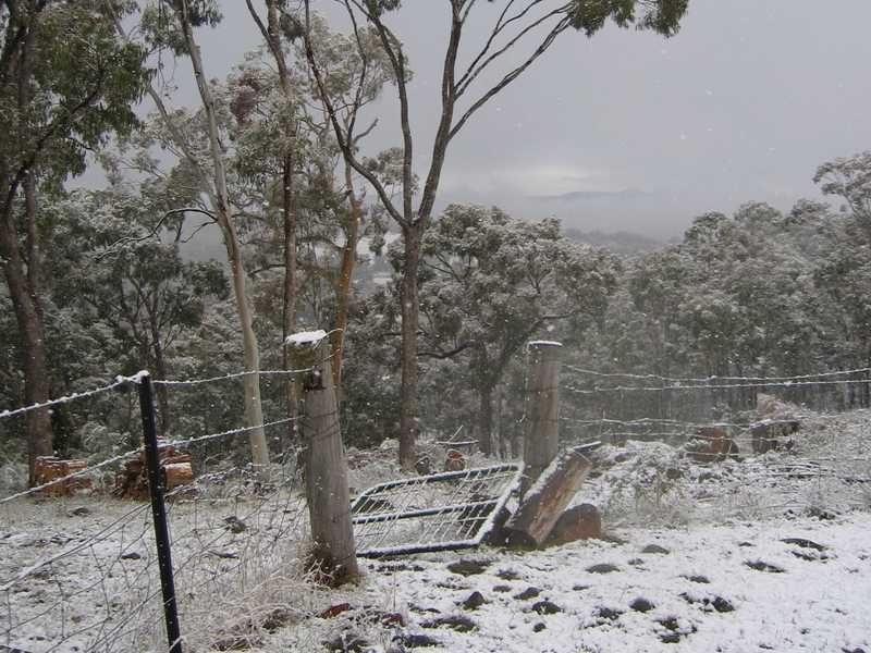 1610 Tooma Road, Tumbarumba NSW 2653