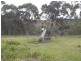 1610 Tooma Road, Tumbarumba NSW 2653