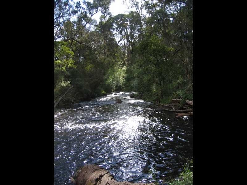 1610 Tooma Road, Tumbarumba NSW 2653