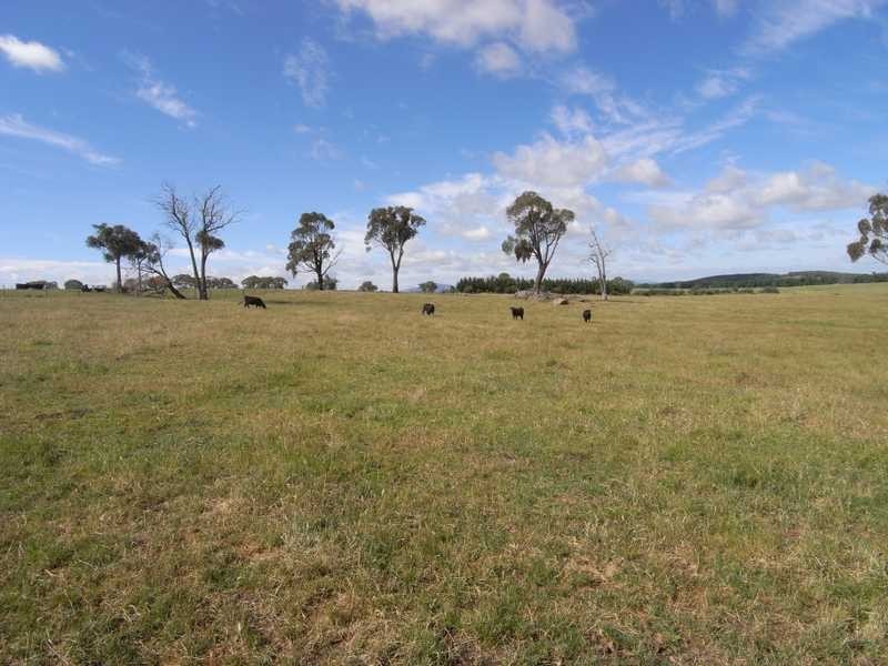 Brumby’s Rest Black Range Road, Tumbarumba NSW 2653