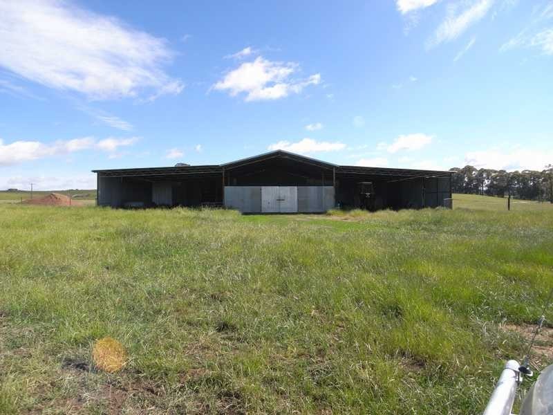 Brumby’s Rest Black Range Road, Tumbarumba NSW 2653