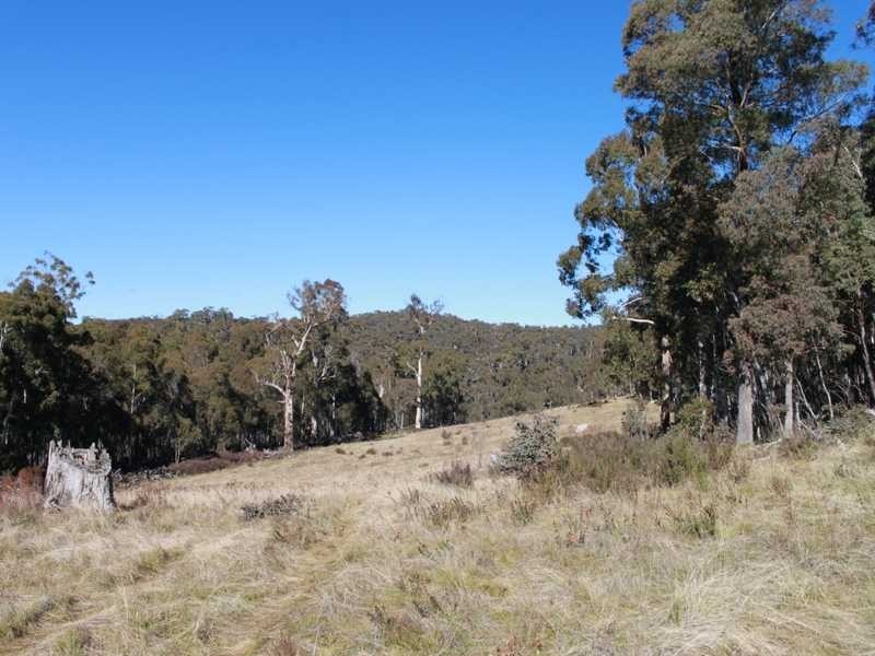 Brumby’s Run Moody’s Hill Road, Tumbarumba NSW 2653