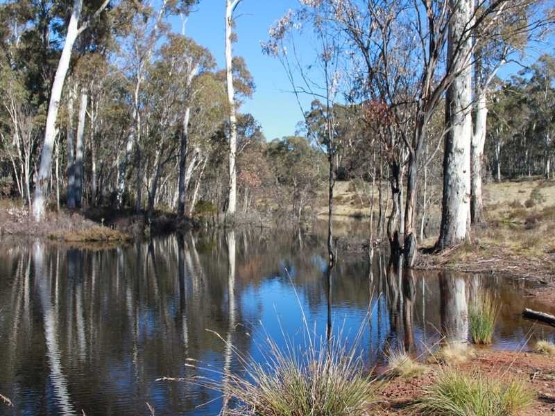 Brumby’s Run Moody’s Hill Road, Tumbarumba NSW 2653