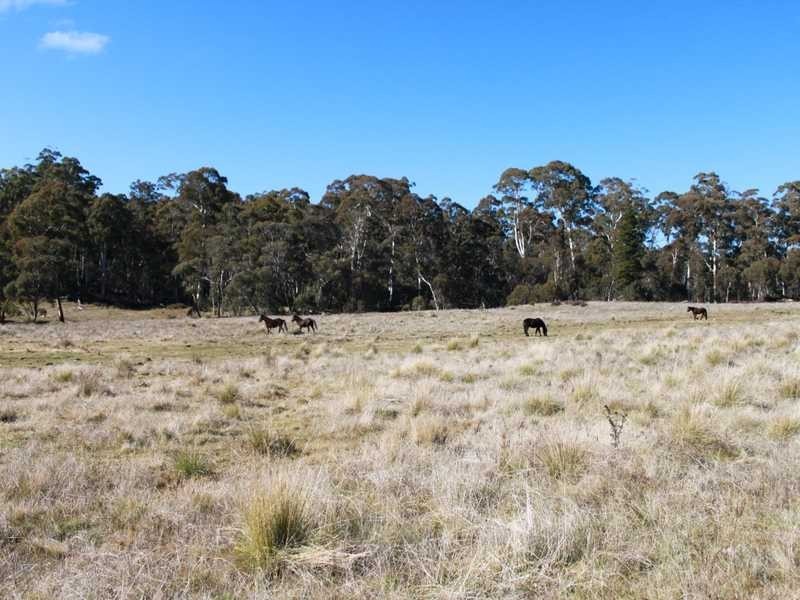 Brumby’s Run Moody’s Hill Road, Tumbarumba NSW 2653