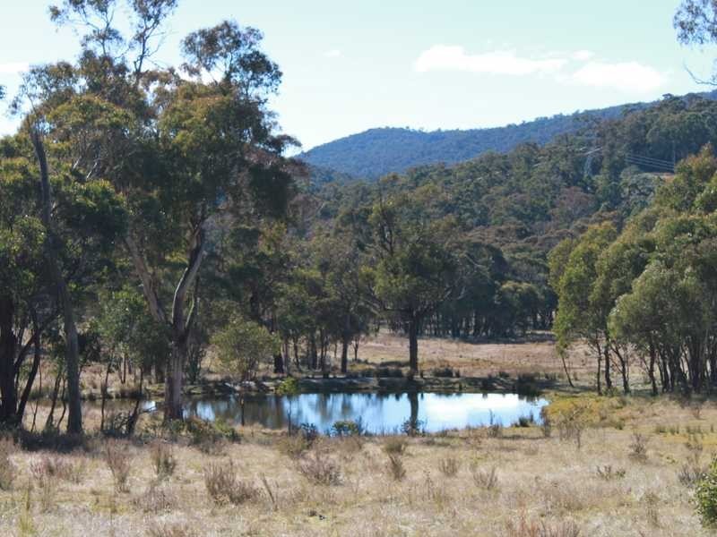 Brumby’s Run Moody’s Hill Road, Tumbarumba NSW 2653