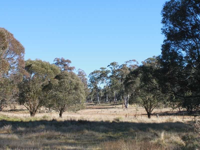 Brumby’s Run Moody’s Hill Road, Tumbarumba NSW 2653