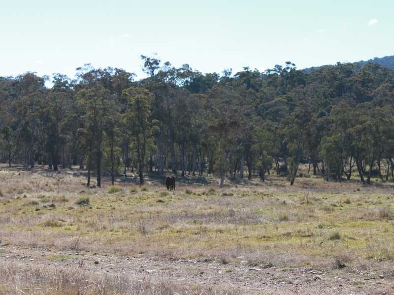 Brumby’s Run Moody’s Hill Road, Tumbarumba NSW 2653