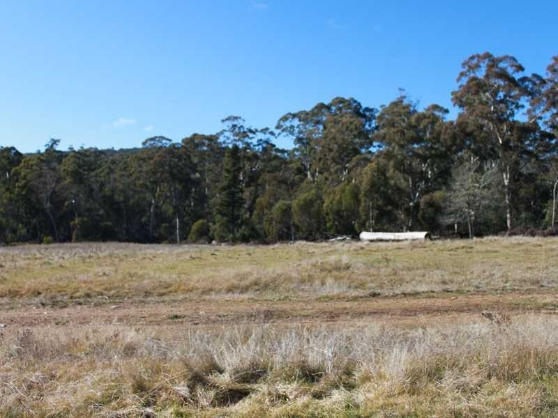 Brumby’s Run Moody’s Hill Road, Tumbarumba NSW 2653