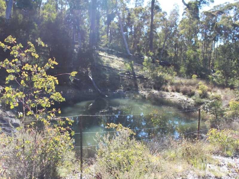 Brumby’s Run Moody’s Hill Road, Tumbarumba NSW 2653