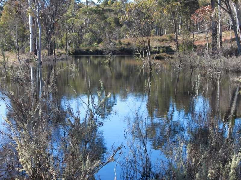 Brumby’s Run Moody’s Hill Road, Tumbarumba NSW 2653