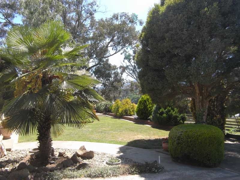 54 Albury Street, Tumbarumba NSW 2653