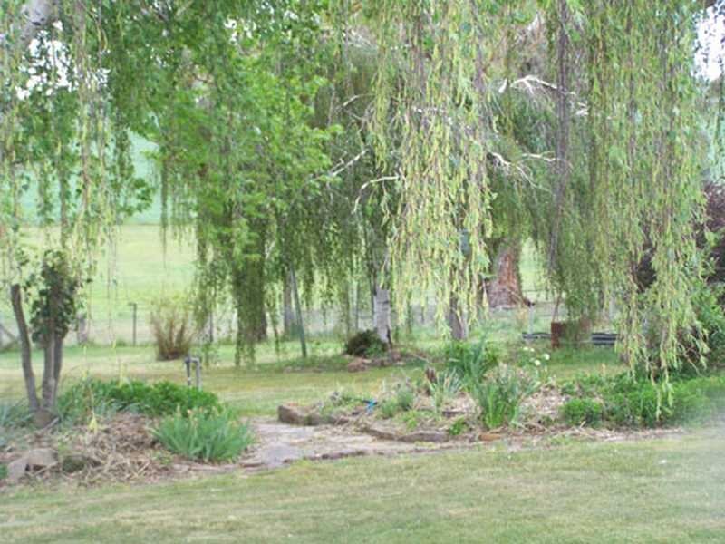 KINKUNA Mt Ikes Road, Tumbarumba NSW 2653