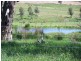 KINKUNA Mt Ikes Road, Tumbarumba NSW 2653