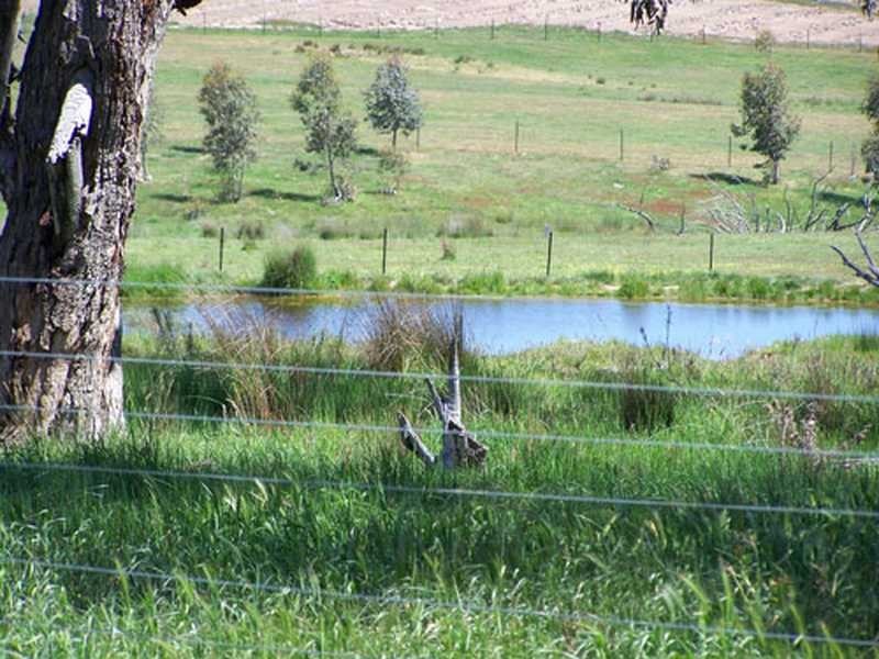 KINKUNA Mt Ikes Road, Tumbarumba NSW 2653