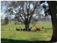 KINKUNA Mt Ikes Road, Tumbarumba NSW 2653