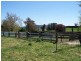KINKUNA Mt Ikes Road, Tumbarumba NSW 2653