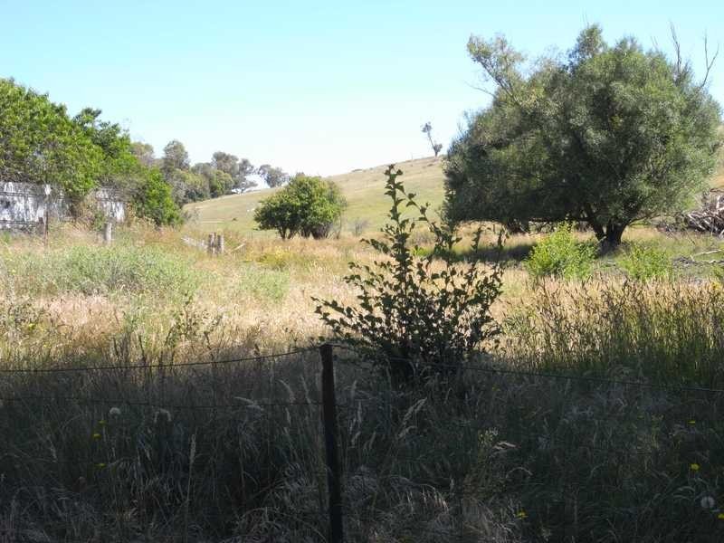 Lot 5 Albury Street, Tumbarumba NSW 2653