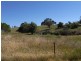 Lot 5 Albury Street, Tumbarumba NSW 2653