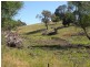 Lot 5 Albury Street, Tumbarumba NSW 2653