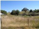 Lot 5 Albury Street, Tumbarumba NSW 2653