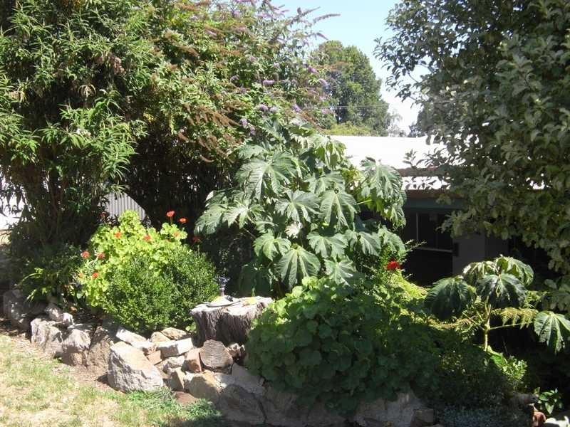 61 Albury Street, Tumbarumba NSW 2653