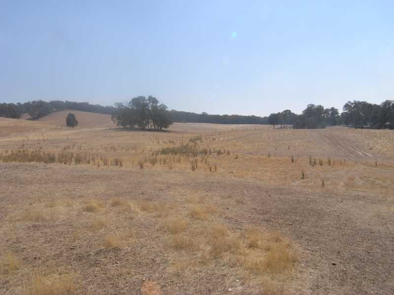 Murray’s Crossing, Tumbarumba NSW 2653