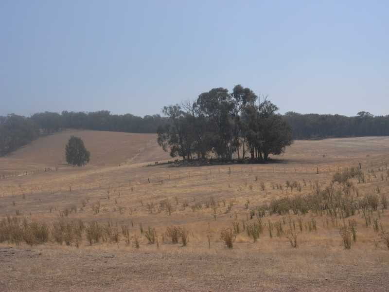 Murray’s Crossing, Tumbarumba NSW 2653