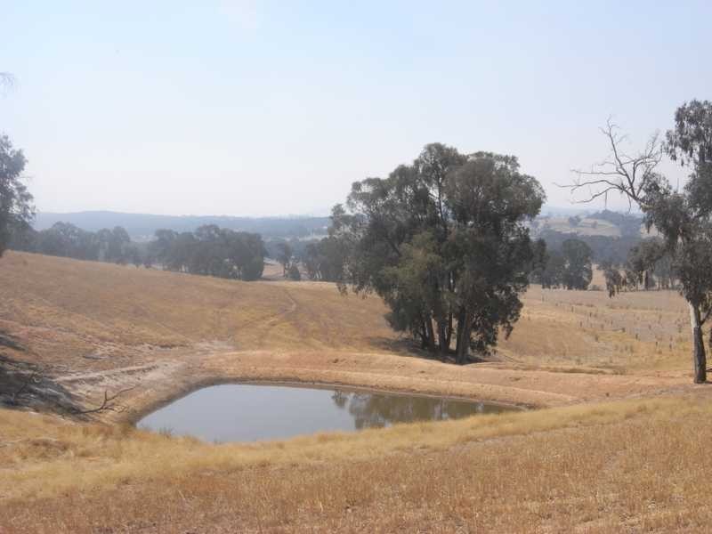 Murray’s Crossing, Tumbarumba NSW 2653