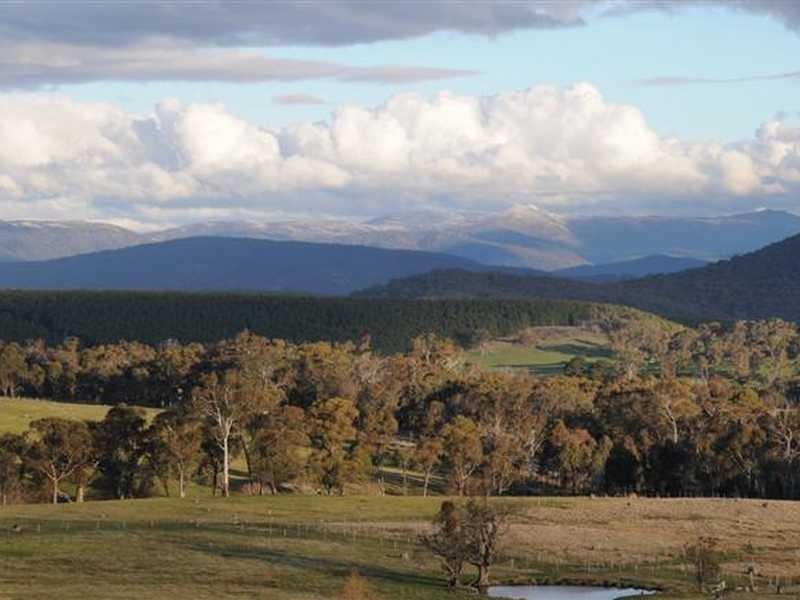 971 Tooma Road, Tumbarumba NSW 2653