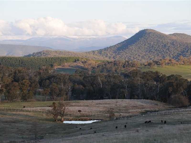 971 Tooma Road, Tumbarumba NSW 2653