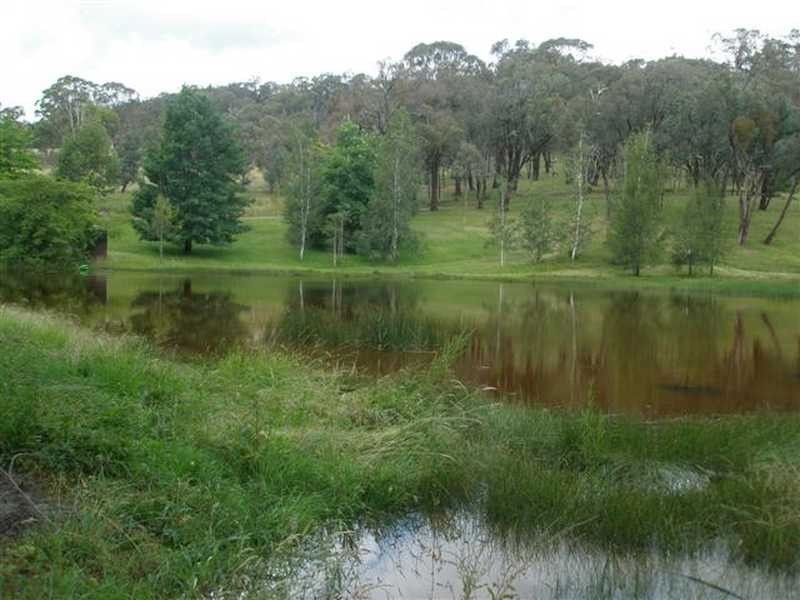 971 Tooma Road, Tumbarumba NSW 2653